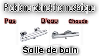 Problème mitigeur robinet thermostatique salle de bain pas d’eau chaude [upl. by Neeruam374]