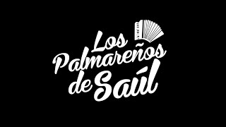 Los Palmareños De Saul en vivo [upl. by Eudocia]