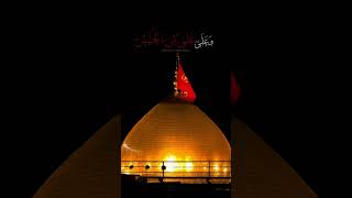 Ziyarat e Ashura  Ali Fani [upl. by Lebna]