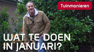 Wat te doen in Januari in de tuin  Tuinieren  Tuinmanieren [upl. by Cl266]