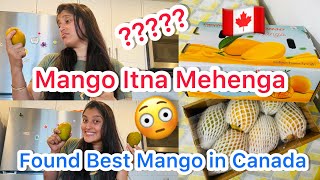 Mango Price In Canada 🇨🇦 Best Alfanso Mango  Itna Mehenga Mango 😳 svadhisworld [upl. by Yendor434]