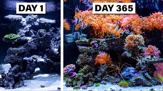 I Created a Vivid Indoor Ocean in 365 Days [upl. by Anyrb]