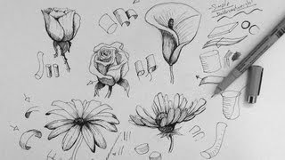 Pen amp Ink Drawing Tutorial  How to draw flowers part 1 [upl. by Luapnoj711]