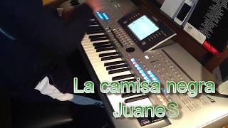 La camisa negra  Juanes  tyros 4  Cover Turtle [upl. by Sunda770]