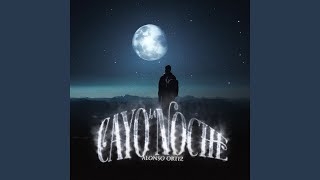 Cayó La Noche [upl. by Onez]