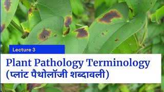 TUTORIALS  PODOPHYLLUM  DR NEELAM AVTAR SINGH  HINDI  Video 108 [upl. by Modern]