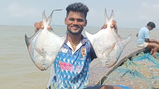 पापलेट मासेमारी pomfret fishing Mumbai Indian fishing [upl. by Rahal]