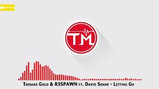 Thomas Gold amp R3SPAWN ft David Shane  Letting Go [upl. by Caraviello]