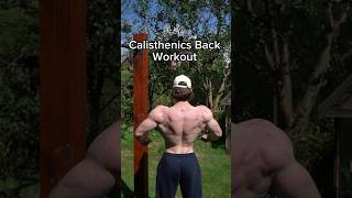 Calisthenics back workout fitness motivation frankmedrano [upl. by Oiram]