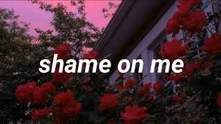 Bmike  SHAME ON ME LYRICS [upl. by Aekal436]