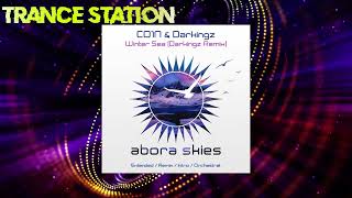 CO1N amp Darkingz  Winter Sea Darkingz Extended Mix ABORA SKIES [upl. by Olette640]