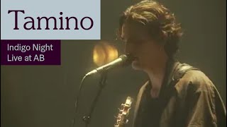 Tamino  Indigo Night Live at AB  Ancienne Belgique [upl. by Stryker]