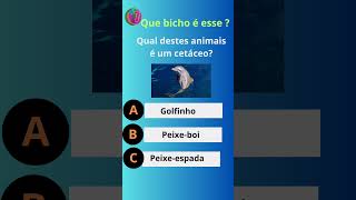 quotDescubra a incrível inteligência dos golfinhos em menos de 60 segundos Golfinhos Naturezaquot [upl. by Nadroj]