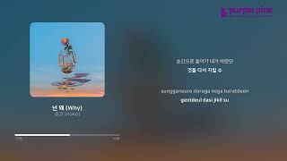 호코 HoKo넌 왜 Why Lyric Video PurplePine Entertainment [upl. by Einahpit57]