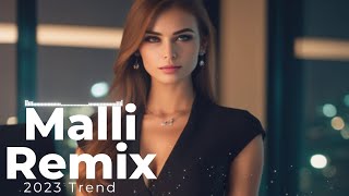 Sekretet e mia Ermenita  Malli remix Arabic Oriental 2023 Trend يفرز e ميا ريمكس arbicremix [upl. by Luapsemaj]