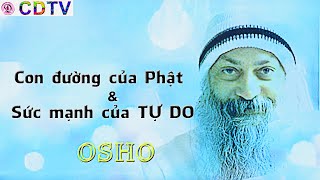 Osho sách nóiSức mạnh của tự dothư giãnngủ ngontrích ch 1amp3Dhammapada t 10con đường của Phật [upl. by Ahsaele]