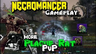 ESO Necromancer PvP  Plague Rat bow necro pvp [upl. by Attenat]