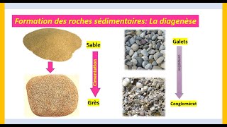 Formation des roches sédimentaires Diagenèse SVT 1APIC [upl. by Obed422]