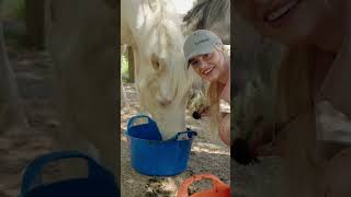 This Esme  Horse eating ASMR goes wrong…Ad [upl. by Raknahs]