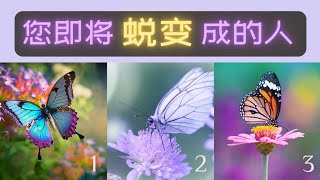 塔罗牌占卜  您正在显化什么蜕变？🌻🔮快乐指数  过程  时机 [upl. by Namaj]