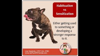 Habituation vs sensitization [upl. by Deer]