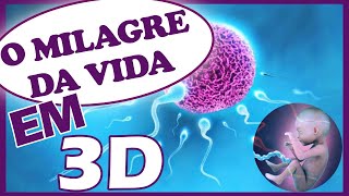 O milagre da vida simulação 3D de uma gravidez [upl. by Beitch]