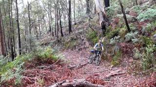 Tasmanian Trail MTB cycling tour [upl. by Assereht]