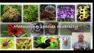 Measuring species diversity [upl. by Ellehcrad310]