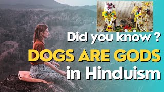 Did you know  Dogs are Gods in Hinduism [upl. by Enoved425]