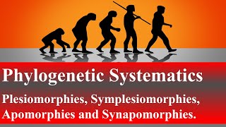 Phylogenetic Systematics Plesiomorphies Symplesiomorphies Apomorphies and SynapomorphiesLesson 6 [upl. by Laeria]