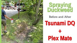 Treating Duckweed with Tsunami DQ [upl. by Aninnaig]