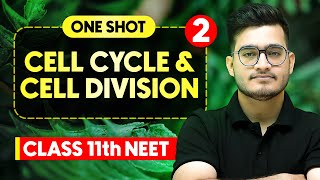 CELL CYCLE amp CELL DIVISION  Complete Chapter in One Video  ConceptsPYQs  Class 11th NEET [upl. by Dowell]