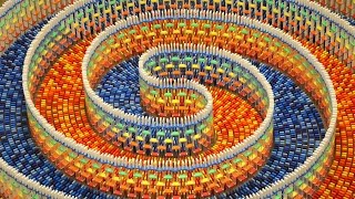 THE AMAZING TRIPLE SPIRAL 15000 DOMINOES [upl. by Lindly103]