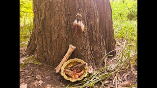 Earth Star Chakra Guided Meditation [upl. by Nabala]