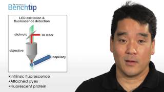 Bench Tip Video Measuring Interactions Using Microscale Thermophoresis [upl. by Gherardo]