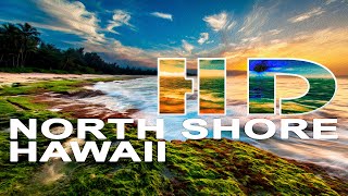 NORTH SHORE  OAHU  HAWAII  UNITED STATES  A TRAVEL TOUR  HD 1080P [upl. by Lorrimer910]