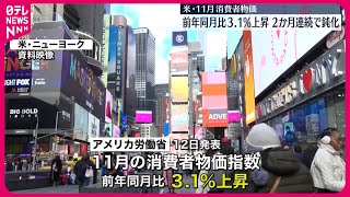 【アメリカ消費者物価指数】前年同月比31％上昇 2か月連続で伸びが鈍化 [upl. by Hu]