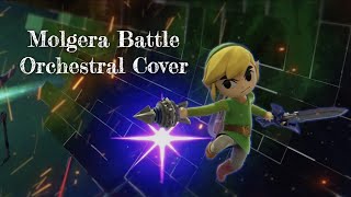 Molgera Battle Orchestral Cover [upl. by Eibbed140]