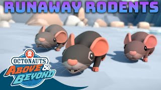 Octonauts Above amp Beyond  Runaway Rodents 🐀🐁  Compilation  Octonauts​ [upl. by Jegar]