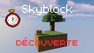 Le Skyblock le plus rapide  Minecraft FR [upl. by Einyaj]