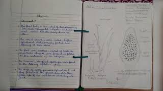 MSc 1st SEM PRACTICAL FILE OF BOTANY Part 3 [upl. by Lotsirb131]