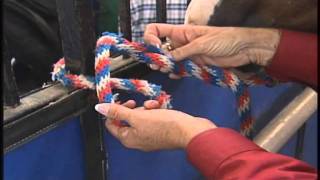 How to tie your horse safely and securely [upl. by Dryden696]