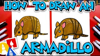 How To Draw An Armadillo [upl. by Aicilak331]