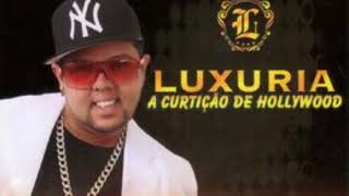 neto lx banda luxuria as mais tocadas Dalmo 1 danado [upl. by Lytsyrk802]