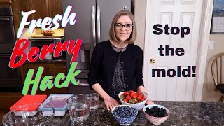 How To Keep Berries Fresh  Stop The Mold [upl. by Disini]