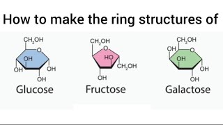 How to make the ring structures of Glucose Fructose and Galactose  Hexoses  Monosaccharides [upl. by Nylzor376]