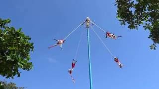 Dance of the Flyers  Danza de los Voladores  Tulum Mexico [upl. by Colver]