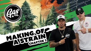 Gas Co  Making of a strain Chapter 2 Documentary [upl. by Aika658]