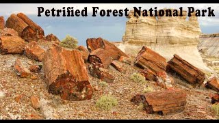 PETRIFIED FOREST NATIONAL PARK  ARIZONA US 2001 [upl. by Demott]