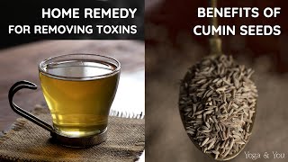 Home Remedy to Remove Toxins  Health Benefits Of Cumin  Jeera Water  Best Ways To Use Cumin [upl. by Valerle]